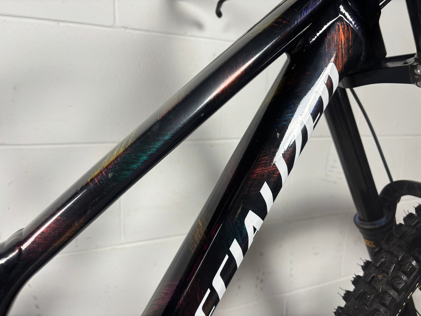 Specialized Demo Race Downhill Bike 2025