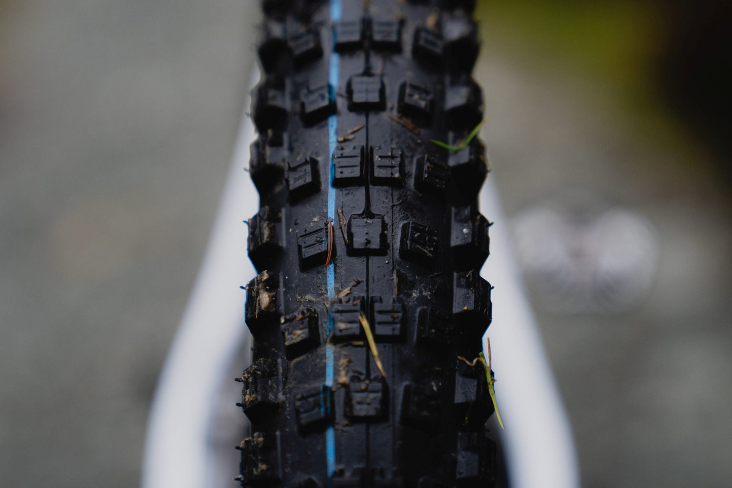 Schwalbe Wicked Will Evo Super Ground 29 x 2,40