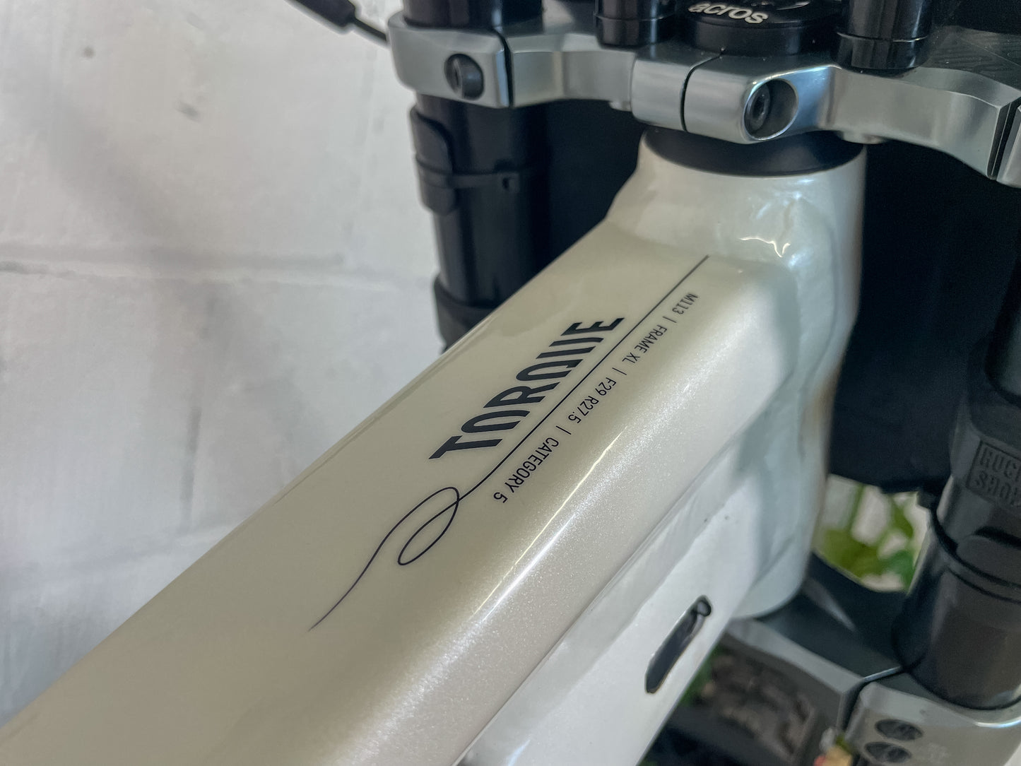 Canyon Sender Torque DH CLLCTV 2024 Full Suspension Mountain Bike