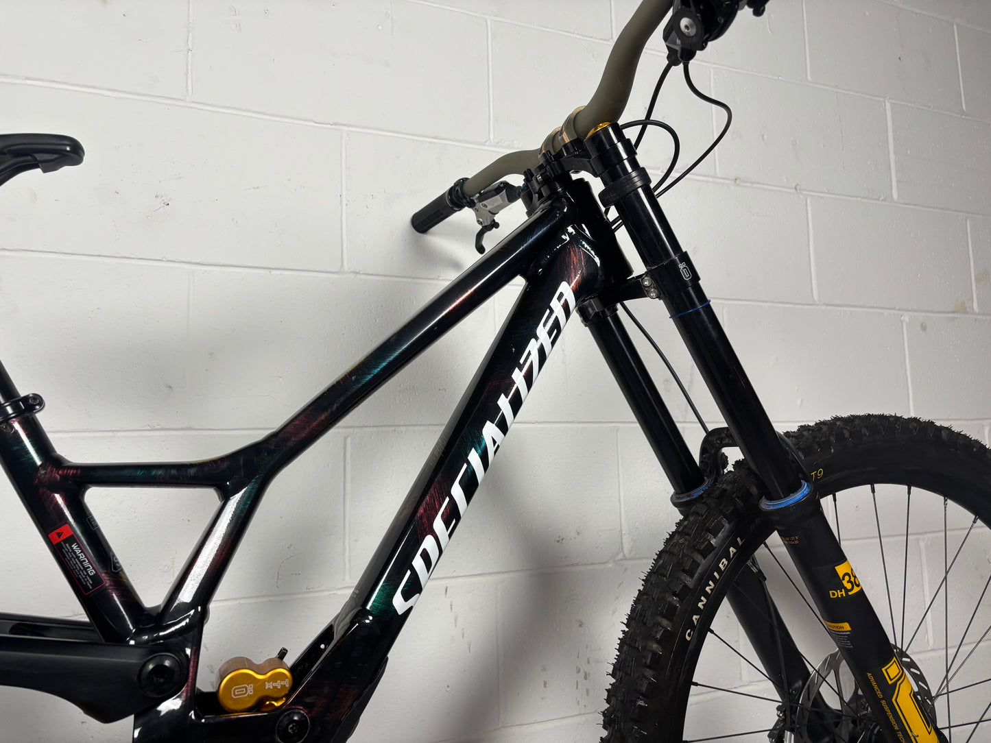 Specialized Demo Race Downhill Bike 2025