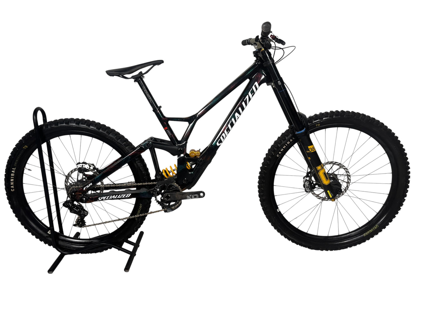Specialized Demo Race Downhill Bike 2025