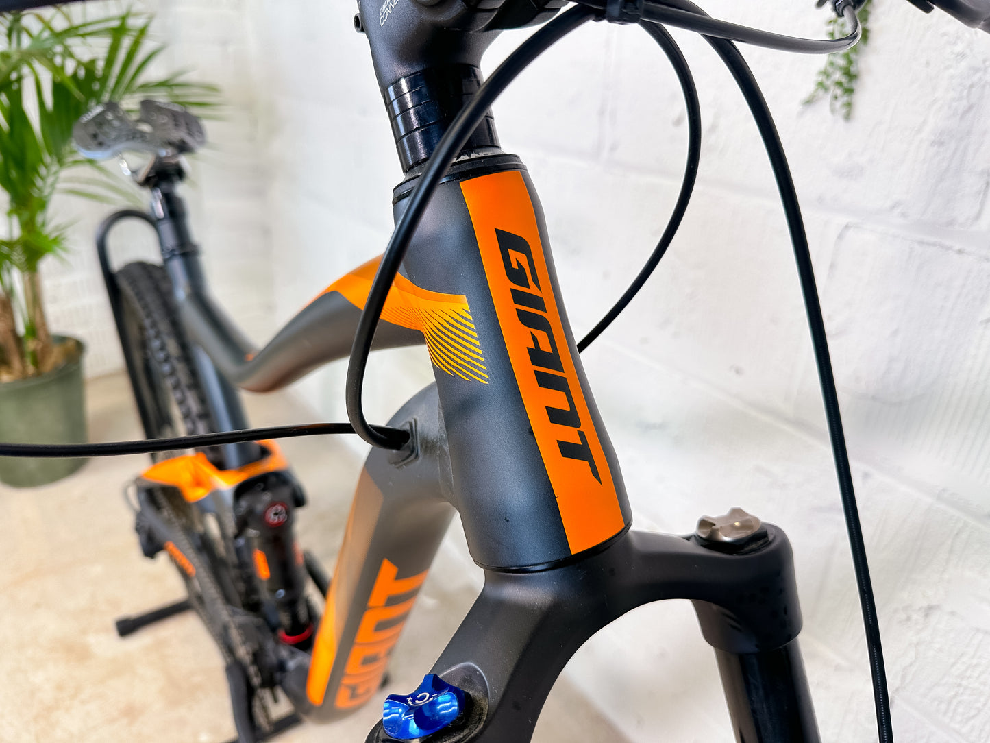 Giant Trance 3 2019 Full Suspension Mountain Bike