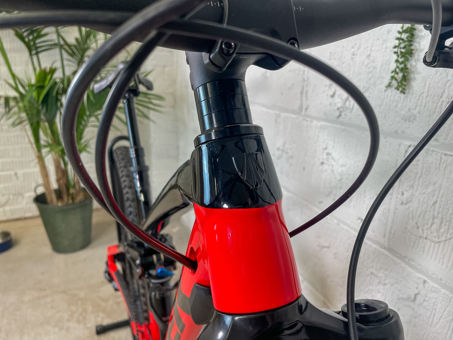 Trek Fuel EX 7 Gen 5 2024 Full Suspension Mountain Bike