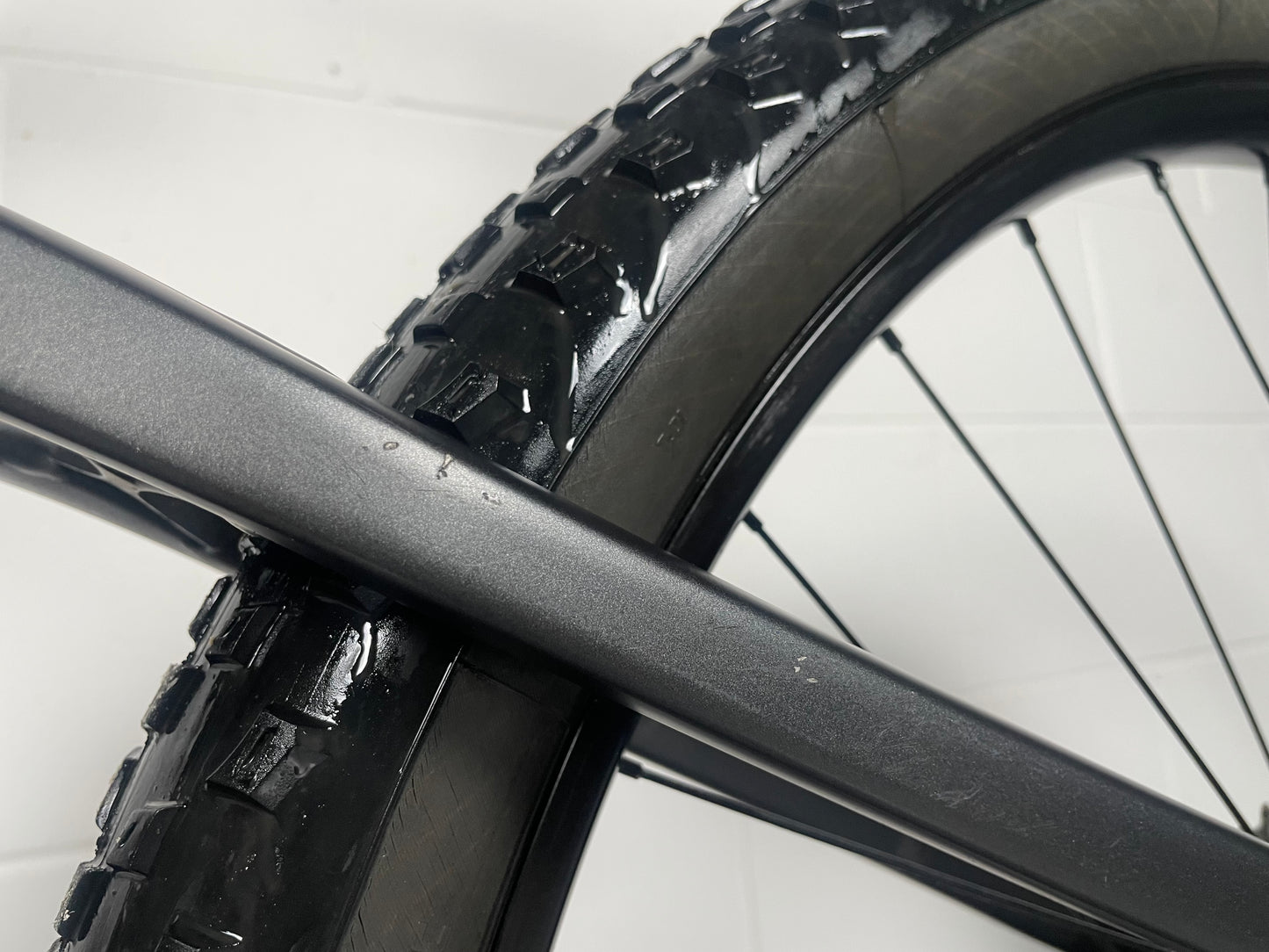 TREK Fuel EX 5 Gen 5 2024 Mountain Bike