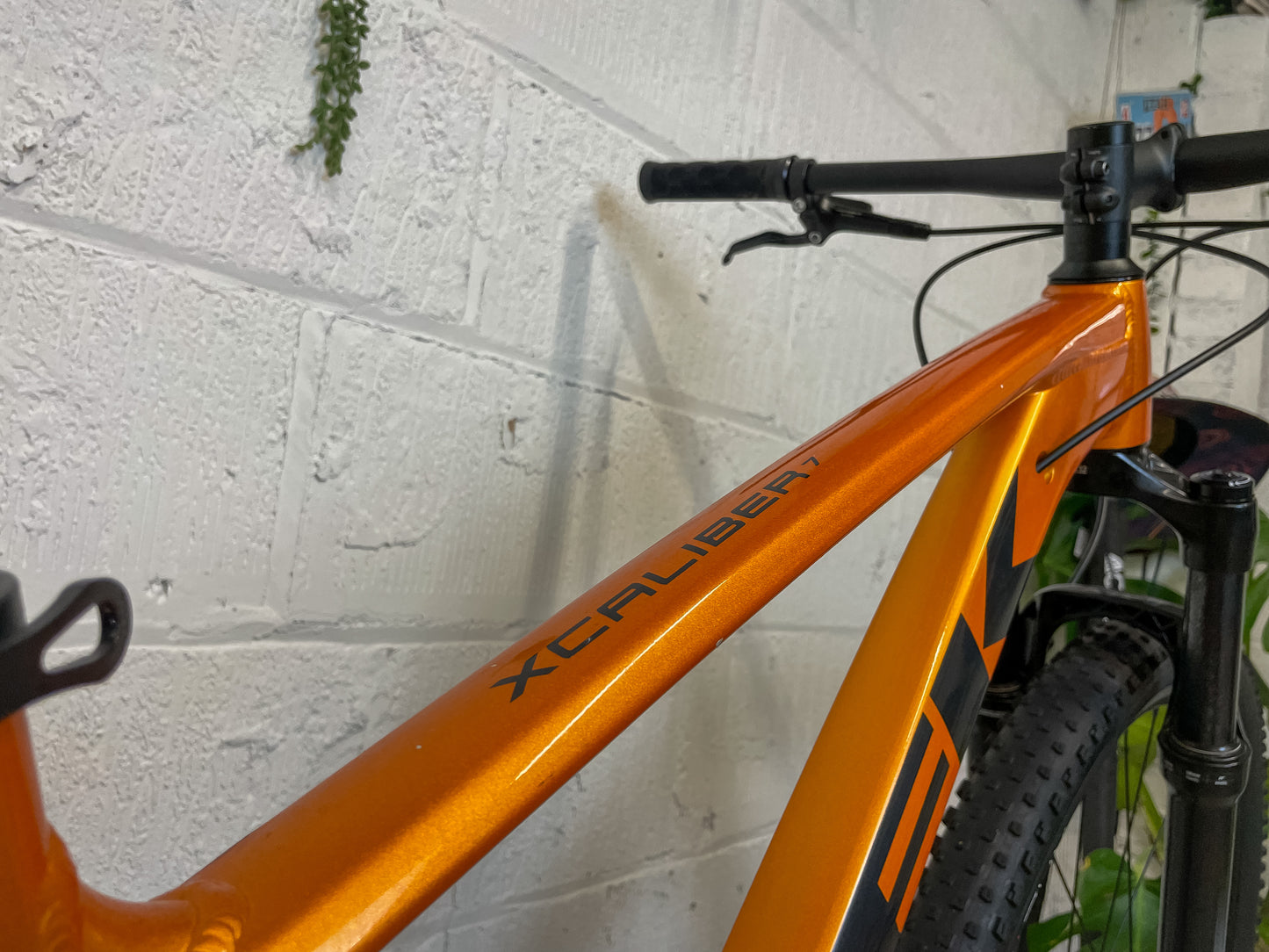 TREK X-CALIBER 7 2024 Mountain Bike